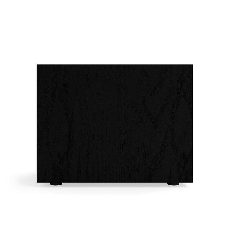 subwoofer r-101sw da 10 singolo